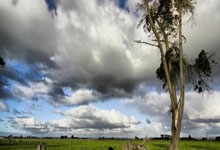 2025年短道速滑世锦赛开赛 中国队多项晋级荷兰队打破世界纪录2025-03-15.