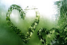 2025年短道速滑世锦赛开赛 中国队多项晋级荷兰队打破世界纪录2025-03-15.